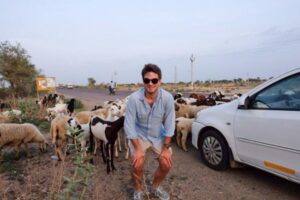 den in goat traffic jam