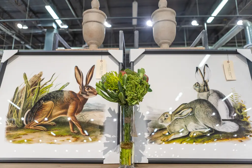 rabbit print set